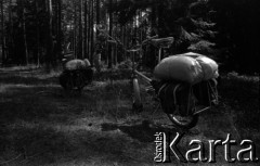 Lata 60., Mazury, Polska.
Rajd rowerowy po Mazurach.
Fot. Marek Zürn, zbiory Fundacji Ośrodka KARTA