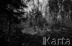 Lata 60., Puszcza Białowieska, Polska.
Uczestnicy wycieczki rowerowej w Puszczy Białowieskiej.
Fot. Marek Zürn, zbiory Fundacji Ośrodka KARTA