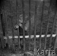 Lata 60., miejsce nieznane, Polska.
Chłopiec przy płocie.
Fot. Marek Zürn, zbiory Fundacji Ośrodka KARTA