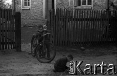 Lata 60., miejsce nieznane, Polska.
Dzieci na wsi.
Fot. Marek Zürn, zbiory Fundacji Ośrodka KARTA