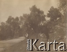 1900-1920, Francja lub Włochy.
Mężczyzna stoi obok konia. Riwiera.
Fot. NN, kolekcja rodziny Walińskich, zbiory Fundacji Ośrodka KARTA