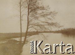 1900-1920, miejsce nieznane.
Jezioro. Na pierwszym planie drzewo.
Fot. NN, kolekcja rodziny Walińskich, zbiory Fundacji Ośrodka KARTA