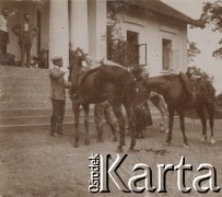 1900-1920, Sokola Góra, Polska.
Przed lub po przejażdżce konnej. Konie stoją przed dworem rodziny Walińskich w Sokolej Górze. U szczytu schodów stoją mężczyźni.
Fot. NN, kolekcja rodziny Walińskich, zbiory Fundacji Ośrodka KARTA