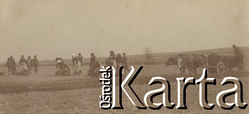 1900-1920, miejsce nieznane, Polska.
Wykopki. Ludzie zbierają ziemniaki. Obok stoi wóz, który ciągną woły. Mężczyzna stoi na kole wozu.
Fot. NN, kolekcja rodziny Walińskich, zbiory Fundacji Ośrodka KARTA