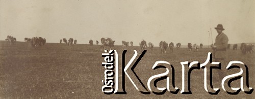 1900-1920, miejsce nieznane, Polska.
Chłop z krowami na pastwisku. Mężczyzna trzyma bat i pilnuje zwierząt.
Fot. NN, kolekcja rodziny Walińskich, zbiory Fundacji Ośrodka KARTA
