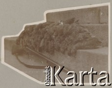 1900-1920, Sokola Góra, Polska.
Martwe ptaki po polowaniu. Leżą na schodach dworu Walińskich w Sokolej Górze. Obok leży strzelba. Fotografia wycięta, dopasowana do ksztatu schodów.
Fot. NN, kolekcja rodziny Walińskich, zbiory Fundacji Ośrodka KARTA