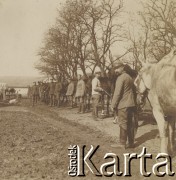 1900-1920, miejsce nieznane.
Mężczyźni i konie ustawieni w rzędzie. W oddali stajnia.
Fot. NN, kolekcja rodziny Walińskich, zbiory Fundacji Ośrodka KARTA