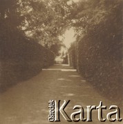 1900-1920, miejsce nieznane, Polska.
Droga między żywopłotami i drzewami.
Fot. NN, kolekcja rodziny Walińskich, zbiory Fundacji Ośrodka KARTA