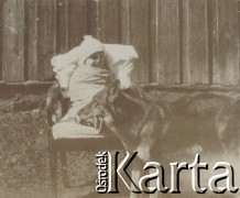 1920-1930, miejsce nieznane, Polska.
Dziecko. Siedzi w fotelu. na pierwszym planie pies.
Fot. NN, kolekcja rodziny Walińskich, zbiory Fundacji Ośrodka KARTA