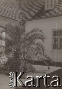 1930-1940, Jarantów, Polska.
Palma przy dworze.
Fot. NN, kolekcja rodziny Walińskich, zbiory Fundacji Ośrodka KARTA