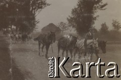 1930-1940, miejsce nieznane, Polska.
Konie na wiejskiej drodze.
Fot. NN, kolekcja rodziny Walińskich, zbiory Fundacji Ośrodka KARTA