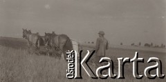 1930-1940, miejsce nieznane, Polska.
Orka.
Fot. NN, kolekcja rodziny Walińskich, zbiory Fundacji Ośrodka KARTA
