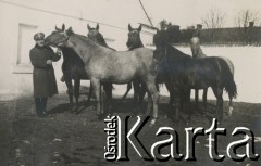 1930-1940, miejsce nieznane, Polska.
Mężczyzba z końmi.
Fot. NN, kolekcja rodziny Walińskich, zbiory Fundacji Ośrodka KARTA