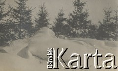 1930-1940, Sokola Góra, Polska.
Zima. Samochody przykryte śniegiem.
Fot. NN, kolekcja rodziny Walińskich, zbiory Fundacji Ośrodka KARTA