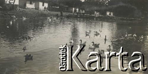 1930-1940, miejsce nieznane, Polska.
Kaczki na jeziorze.
Fot. NN, kolekcja rodziny Walińskich, zbiory Fundacji Ośrodka KARTA