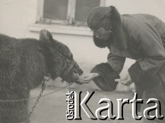 1930-1940, miejsce nieznane, Polska.
Kobieta z niedźwiedziem.
Fot. NN, kolekcja rodziny Walińskich, zbiory Fundacji Ośrodka KARTA