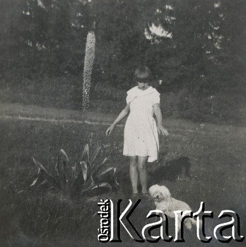 1930-1940, miejsce nieznane, Polska.
Dziewczynka z psem w ogrodzie.
Fot. NN, kolekcja rodziny Walińskich, zbiory Fundacji Ośrodka KARTA