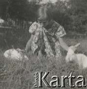 1930-1940, miejsce nieznane, Polska.
Dziewczynka trzyma króliki za uszy.
Fot. NN, kolekcja rodziny Walińskich, zbiory Fundacji Ośrodka KARTA