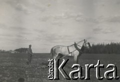 1930-1940, miejsce nieznane, Polska.
Orka. Chłop przy pracy.
Fot. NN, kolekcja rodziny Walińskich, zbiory Fundacji Ośrodka KARTA