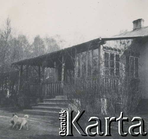 1930-1940, miejsce nieznane, Polska.
Dom. Przed domem psy.
Fot. NN, kolekcja rodziny Walińskich, zbiory Fundacji Ośrodka KARTA