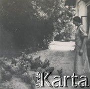 1930-1940, miejsce nieznane, Polska.
Kobieta karmi kury.
Fot. NN, kolekcja rodziny Walińskich, zbiory Fundacji Ośrodka KARTA