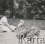 1930-1940, miejsce nieznane, Polska.
Dziewczyna. Karmi zwierzęta.
Fot. NN, kolekcja rodziny Walińskich, zbiory Fundacji Ośrodka KARTA