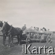 1930-1950, miejsce nieznane, Polska.
Ludzie. Siedzą na wozie ze słomą.
Fot. NN, kolekcja rodziny Walińskich, zbiory Fundacji Ośrodka KARTA