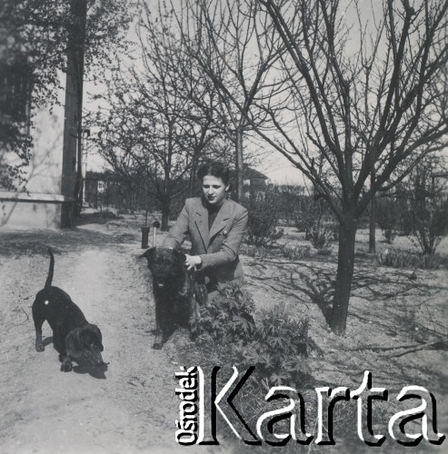 1930-1950, miejsce nieznane, Polska.
Kobieta z psami.
Fot. NN, kolekcja rodziny Walińskich, zbiory Fundacji Ośrodka KARTA
