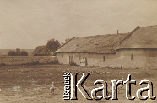 1910-1920, miejsce nieznane, Polska.
Kaczki na wsi. Z boku stajnia.
Fot. NN, kolekcja rodziny Walińskich, zbiory Fundacji Ośrodka KARTA