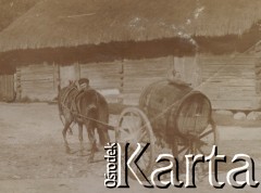 1910-1920, miejsce nieznane, Polska.
Mężczyzna. Przewozi beczkę przy pomocy konia.
Fot. NN, kolekcja rodziny Walińskich, zbiory Fundacji Ośrodka KARTA