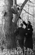 1956 lub 1957, Walo k. Norylska, Krasnojarski Kraj, ZSRR.
Czesław Jakimowicz (tyłem) w towarzystwie Rosjan przy drzewie.
Fot. NN, zbiory Ośrodka KARTA, udostępnił Czesław Jakimowicz