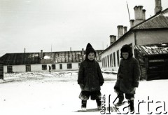 1955, Workuta, Komi ASRR, ZSRR.
Edmund i Tadeusz Weberowie, synowie Natalii i Edmunda Weberów, piewsze polskie dzieci urodzone na Workucie.
Fot. NN, zbiory Ośrodka KARTA, udostępnił Michał Tatarzycki.