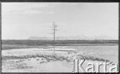 1953, Norylsk, Krasnojarski Kraj, ZSRR
Podpis na odwrocie: 