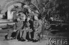 1942-1943, Bliski Wschód
Czterej żołnierze Armii Andersa na tle palmy.
Fot. NN, zbiory Ośrodka KARTA, udostępniła Anna Wojciechowska.