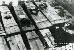 Sierpień 1941, Złoczów, Ukraina, ZSRR.
Pogrzeb ofiar zamordowanych w czasie II wojny światowej.
Fot. NN, zbiory Ośrodka KARTA, przekazała Hanna Wieczorek.