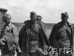 Lato 1941, Smoleńsk, ZSRR.
Obóz jeniecki, żołnierze Armii Czerwonej w niewoli. 
Fot. z albumu gen. Hellmutha Bienecka, przekazał Piotr Kleeberg, zbiory Fundacji Ośrodka KARTA