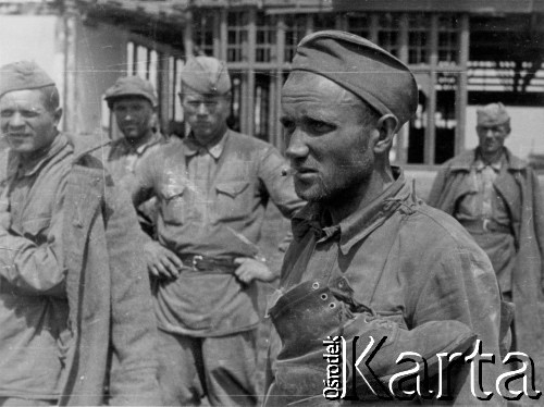 Lato 1941, Smoleńsk, ZSRR.
Obóz dla jeńców radzieckich, żołnierze Armii Czerwonej.
Fot. z albumu gen. Hellmutha Bienecka, przekazał Piotr Kleeberg, zbiory Fundacji Ośrodka KARTA