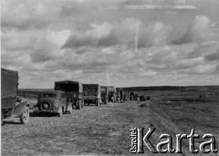 1941, Smoleńsk, ZSRR.
Kolumna samochodów niemieckich, podpis na odwrocie: 