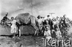 Lato 1941, Mołotowskij sowchoz, Kazachska SRR, ZSRR.
Polska (?) brygada z wielbłądem Jaszką. Wielbłąda trzyma Musia Piętnicka, na płużku siedzi jej siostra Lusia, a obok i przed nią Rosjanki. Stoją od lewej: NN, Irka Jacyszyn, Zemła (z grabiami), Jacyszynowa, Zofia Wandurska (z motyką na ramieniu), NN i Edward Kulczycki. Fotografia wykonana latem 1941 roku prawdopodobnie przez reportera gazety 