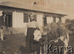 1935, Horodenka, woj. Stanisławów, Polska.
Zagroda Wintonyka, dziewczynka z cielakiem.
Fot. NN, zbiory Ośrodka KARTA, kolekcję Edwarda Skrzyńskiego udostępniła Izabella Srzednicka