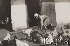 10.09.1938, Łosiatyn, Wołyń, Polska.
Lustracja gospodarstw podczas konkursu hodowli kur.
Fot. NN, zbiory Ośrodka KARTA, kolekcję Edwarda Skrzyńskiego udostępniła Izabella Srzednicka.
 
