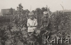 1938, Stara Huta, Wołyń, Polska.
Lustracja poletek konkursowych, dzieci z pomidorami.
Fot. NN, zbiory Ośrodka KARTA, kolekcję Edwarda Skrzyńskiego udostępniła Izabella Srzednicka.
 
