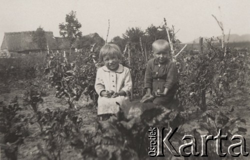 1938, Stara Huta, Wołyń, Polska.
Lustracja poletek konkursowych, dzieci z pomidorami.
Fot. NN, zbiory Ośrodka KARTA, kolekcję Edwarda Skrzyńskiego udostępniła Izabella Srzednicka.
 

