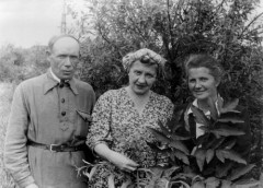 1954, Inta, Komi ASRR, ZSRR.
Polacy zwolnieni z łagrów, stoją od prawej: Stanisława Gortyńska, Olga Mironowicz, NN.
Fot. NN, zbiory Ośrodka KARTA, udostępniła Stanisława Gortyńska.