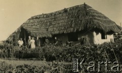 1943-1948, Koja, Uganda.
Dom rodziny Rogińskich. [W osiedlu Koja w latach 1942-1948 mieszkało ok. 3000 Polaków, którzy z żołnierzami Armii Andersa zostali ewakuowani do Iranu].
Fot. NN, zbiory Ośrodka KARTA , udostępniła Maria Wierzchowska [AW - II/1681]