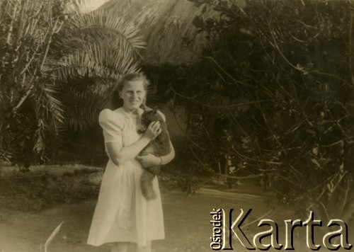 1943-1948, Koja, Uganda.
Maria Rogińska z kotem Feliksem. [W osiedlu Koja w latach 1942-1948 mieszkało ok. 3000 Polaków, którzy z żołnierzami Armii Andersa zostali ewakuowani do Iranu].
Fot. NN, zbiory Ośrodka KARTA , udostępniła Maria Wierzchowska [AW - II/1681]