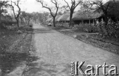 1945, Masindi, Uganda, Afryka Wschodnia.
Jedna z ulic obozu dla polskich uchodźców w Masindi.
Fot. NN, zbiory Ośrodka KARTA, udostępniła Maria Wierzchowska