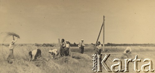 1934-1938, pow. Kamień Koszyrski, Poleskie woj., Polska.
Żniwiarze pracujący w polu.
Fot. NN, zbiory Ośrodka KARTA, kolekcję Eugeniusza Wilczyńskiego udostępniła Marta Simon.
 
