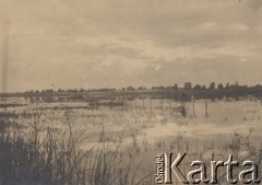 1936-1939, Poleskie woj., Polska.
Poleski krajobraz, jezioro.
Fot. Eugeniusz Wilczyński, zbiory Ośrodka KARTA, kolekcję Eugeniusza Wilczyńskiego udostępniła Marta Simon.
 
