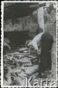 Lipiec 1942, Campulung Muscel, Rumunia.
Polscy uchodźcy w Rumunii podczas II wojny światowej. Kolonie letnie dla polskich studentów. Rąbanie drewna.
Fot. NN, zbiory Ośrodka KARTA, udostępnił Tadeusz Gaydamowicz.